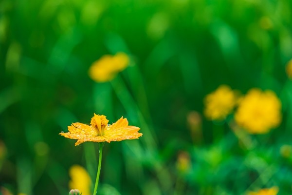 ９月の定休日のお知らせサムネイル